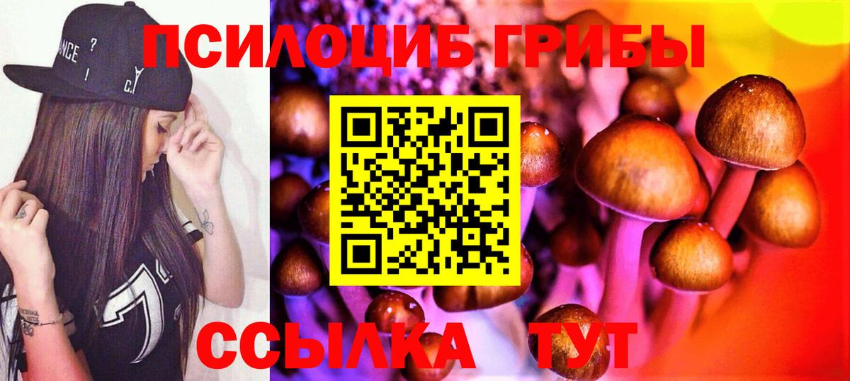 Псилоцибиновые грибы мухоморы  Вход с VPN  Сергиев Посад  Галлюциногенные грибы ЛСД 